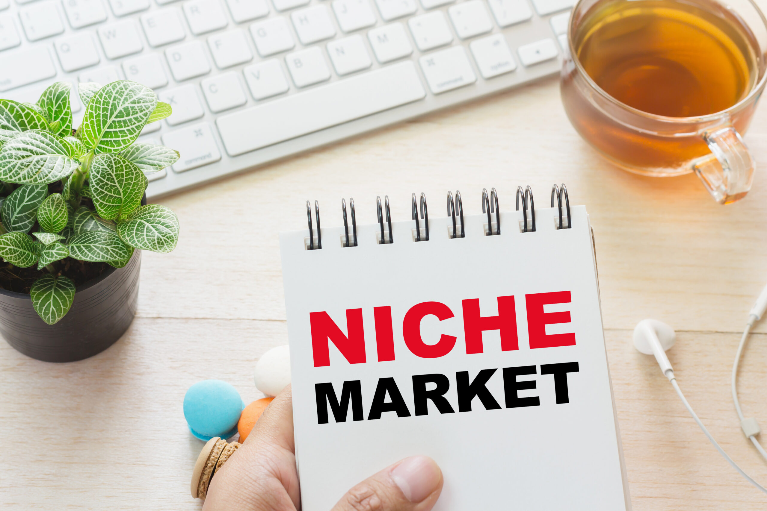 how to research a niche market online